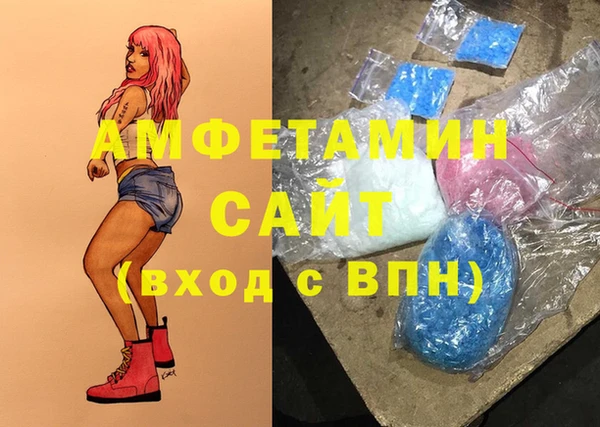 мдпв Богородицк