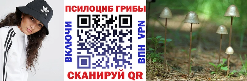 Купить закладки  Учалы  Псилоцибиновые грибы мухоморы 
